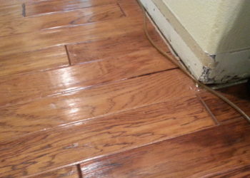 water damage engineered hardwood
