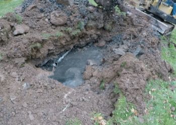 How do you rejuvenate a leach field?