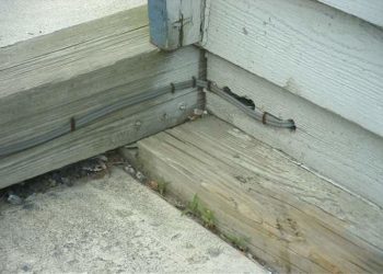 Can UF cable be exposed?