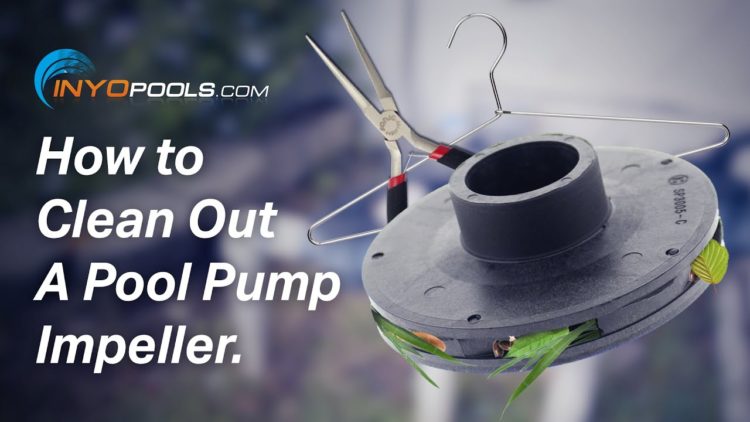 how to clean the impeller on a pool pump