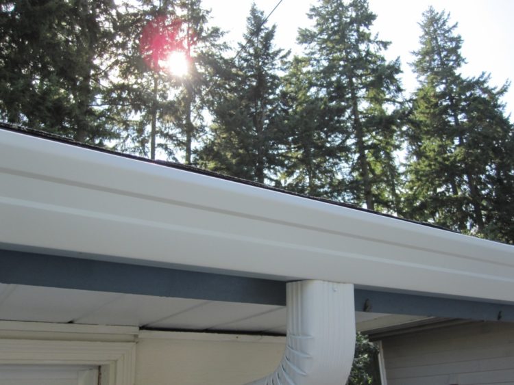 wide bottom fascia gutter