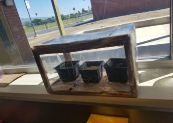 window mounted greenhouse