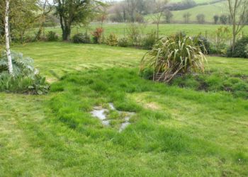 What is the most common cause of septic system failure?