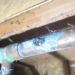 How do you prevent pinhole leaks in copper pipes?