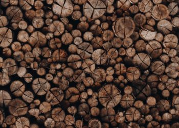 benefits of using recycled timber in furniture production