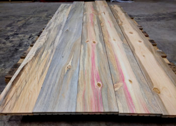 What is beetle kill pine?