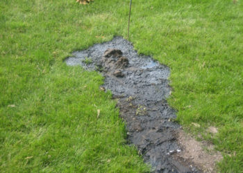 eliminate septic biomat