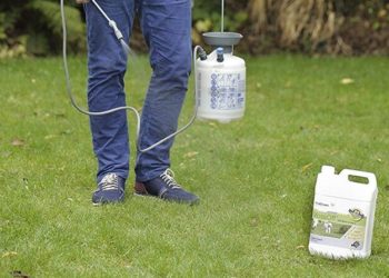 pet friendly moss killer for paths