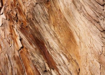 does rubber mulch repel insects