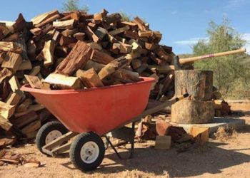 Is Yucca a good firewood?