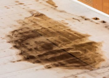moss causing roof leak