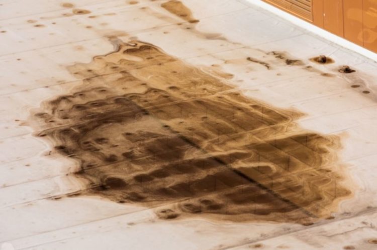 moss causing roof leak