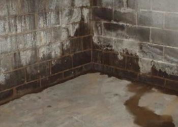 How much does it usually cost to waterproof a basement?