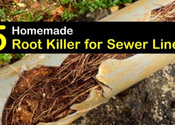 best septic root killer