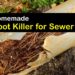 best septic root killer