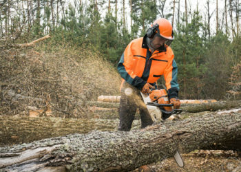 Do you need a license to use a chainsaw UK?
