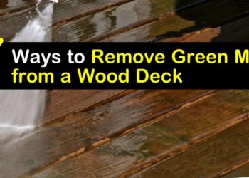 how to remove mold off wood