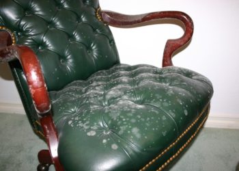 how to clean off mold from furniture