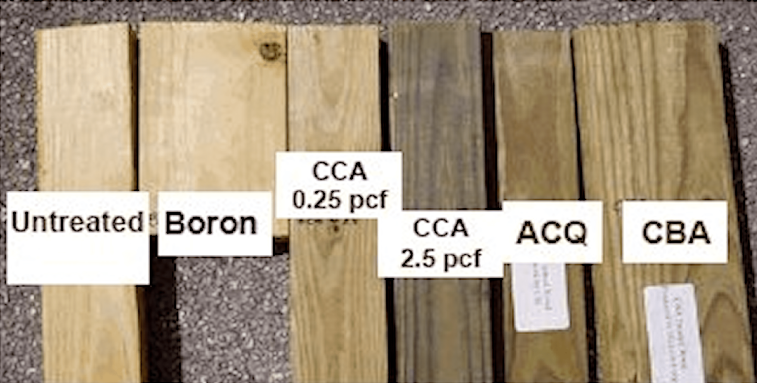What Kind Of Cedar Do You Use In A Sauna 