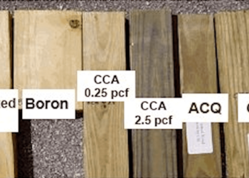 Can you use pressure treated wood in a sauna?