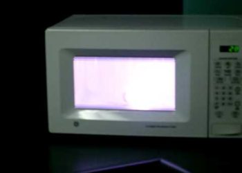 What happens if you put a lightbulb in the microwave?
