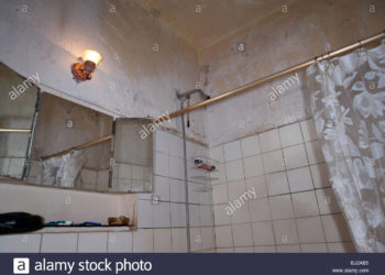 paint for ceiling above shower