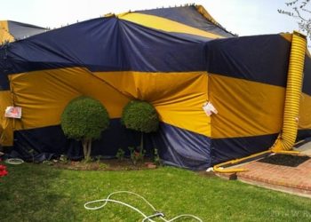 how to clean after termite tenting