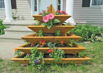 Can you build a raised bed around a tree?