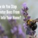 how to stop carpenter bees from eating wood