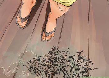 How do I get rid of bats behind my siding?