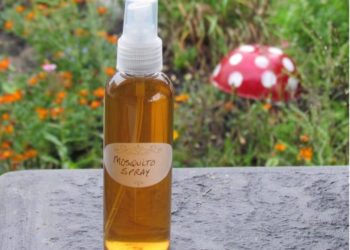 What is the best homemade mosquito spray?