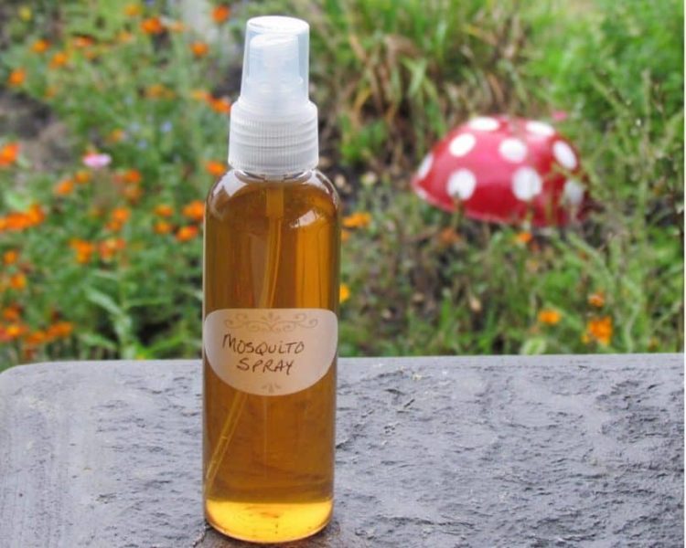 What is the best homemade mosquito spray?