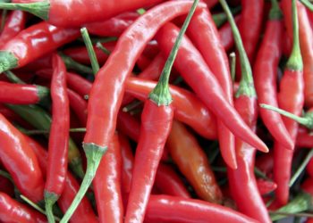 when to pick cayenne peppers
