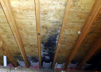Where do bathroom fans vent to in apartments?