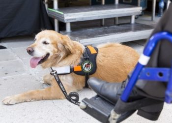 How much does a Trane xc95m cost?