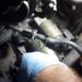 2003 ford escape starter location
