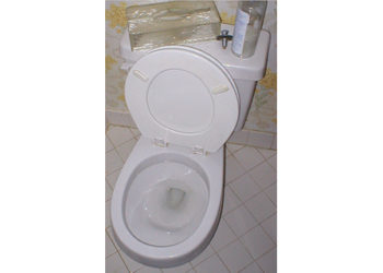 Which American Standard toilet is the best?