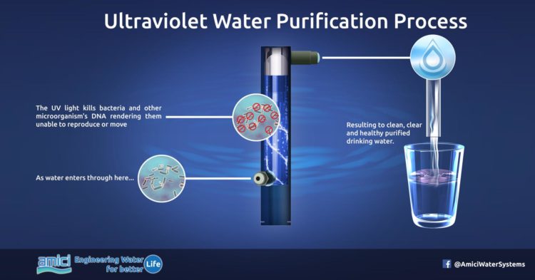 which-uv-light-is-used-in-water-purifier