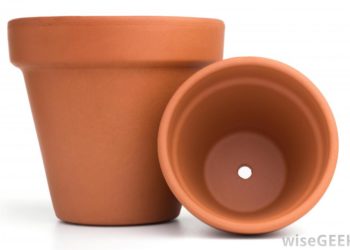 What is the difference between terracotta and clay pots?