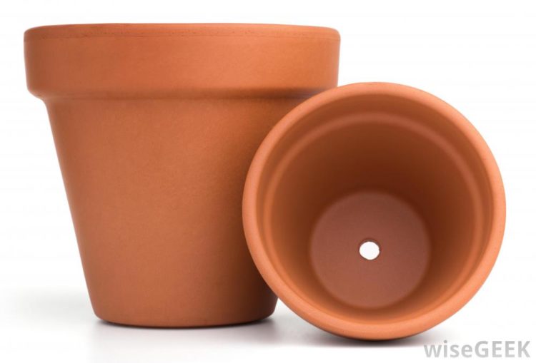 What is the difference between terracotta and clay pots?
