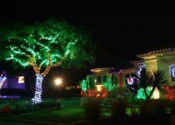 What do you do if your Christmas tree lights don't work?