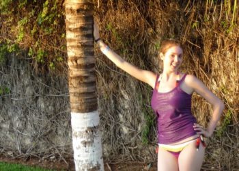 why white paint on trees