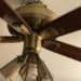 Why did my ceiling fan suddenly stop working?