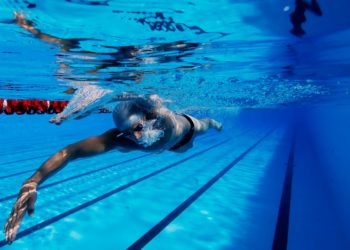 how to stop blackbirds from dropping poop in pool