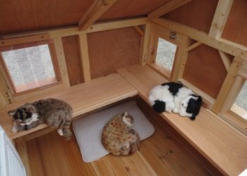 How do you heat an outdoor cat house?