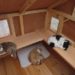 How do you heat an outdoor cat house?