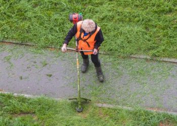string trimmer lifespan