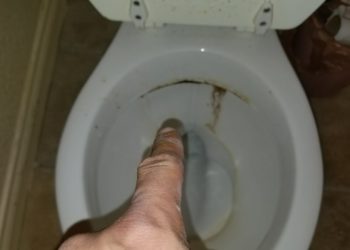 toilet bowl smells like urine