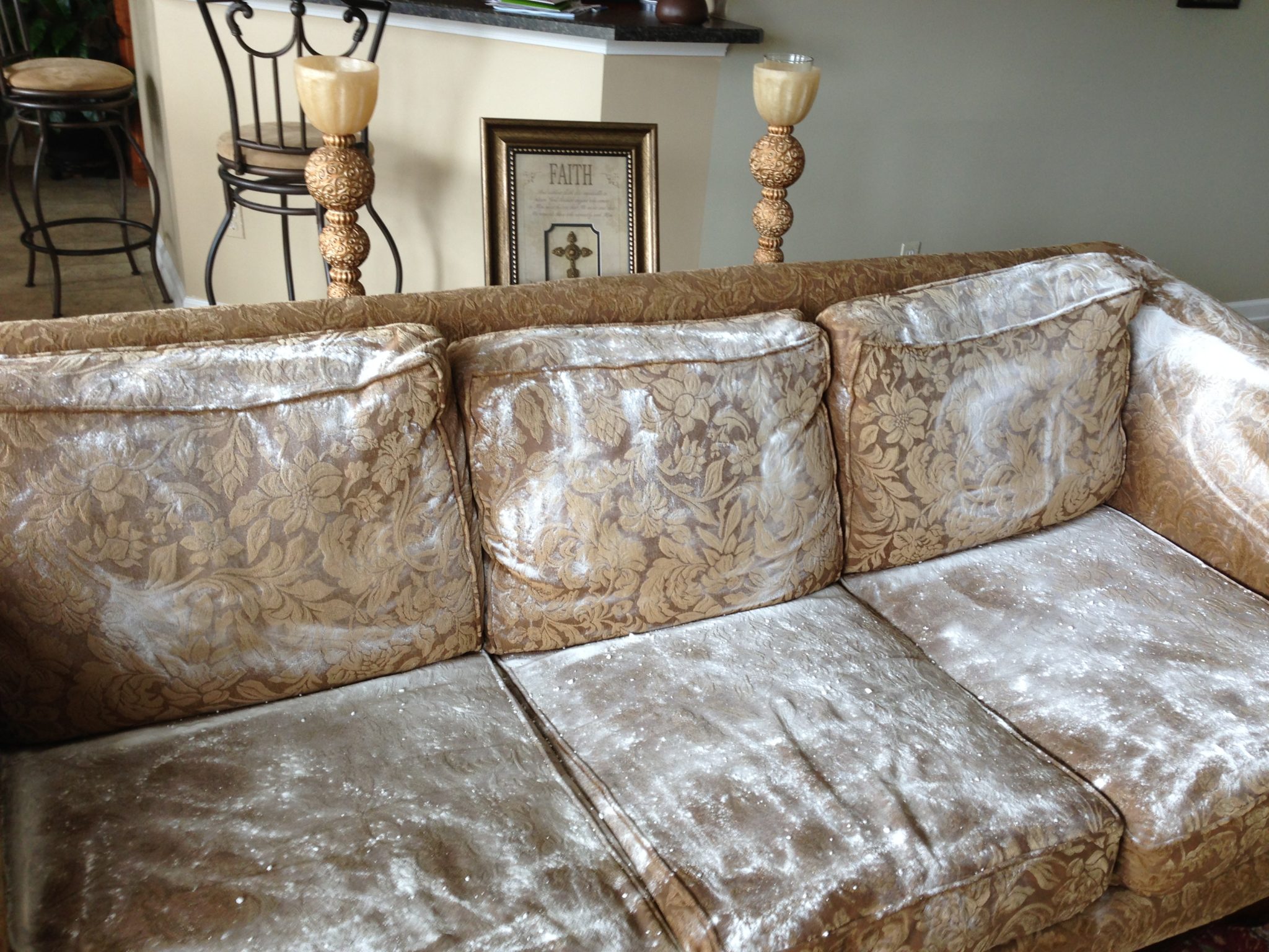 mold on sofa bed