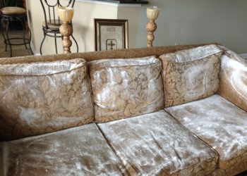 how to clean mold out of couch cushions